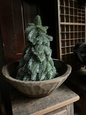 nobilis kerst boompje kunst