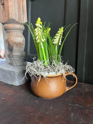 vintage kannetje met kunst witte druifjes