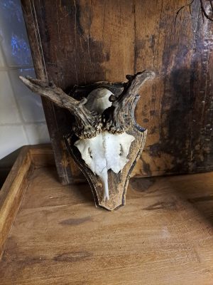 geweitje op houten schild